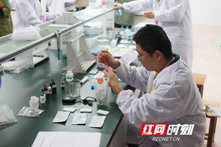 2019年第三屆全省水產(chǎn)技術(shù)推廣職業(yè)技能競(jìng)賽圓滿落幕